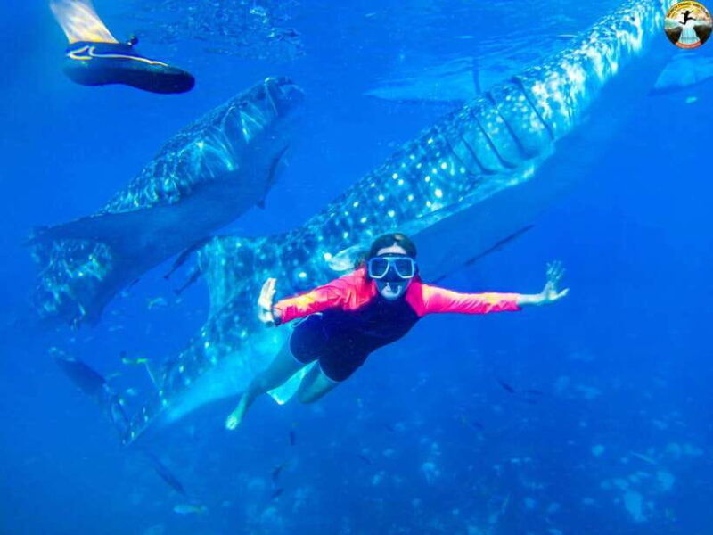 cebu-swim-with-sharks-kawasan-canyoneering-group-tour