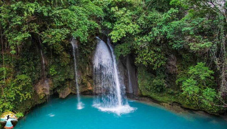 cebu-swim-with-sharks-kawasan-canyoneering-group-tour