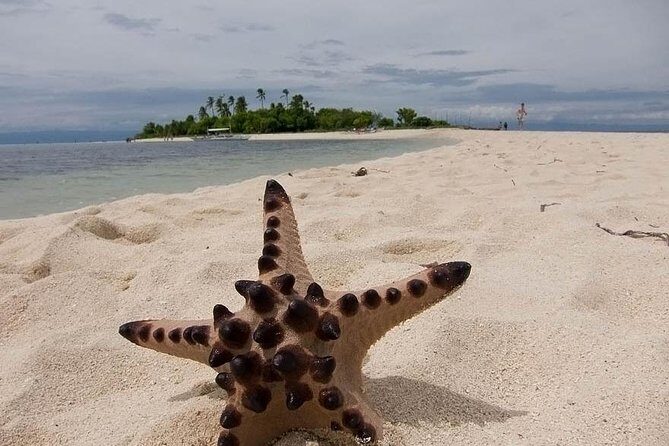 Cebu to Bohol: 2D and 1N with Bohol Country Side Tour - The Value of a Private Guided Tour