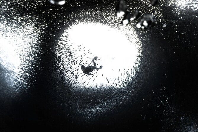 Cebu Tour Package 3D2N - The Full Experience of the Cebu Tour Package 3D2N