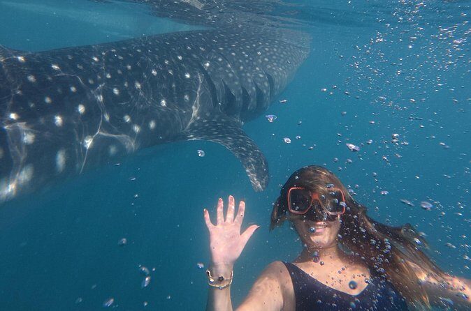 Cebu Tumalog, Inambakan Falls, Sardines and Whaleshark Watching - FAQ