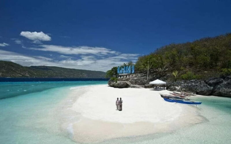 Cebu: Whale Shark, and Sumilon Sandbar and Inambakan Falls - Authentic Insights from Reviewers  