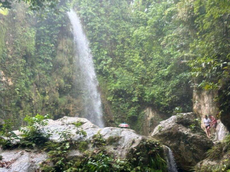 cebu-whale-shark-inambakan-falls-moalboal-sardine-tour