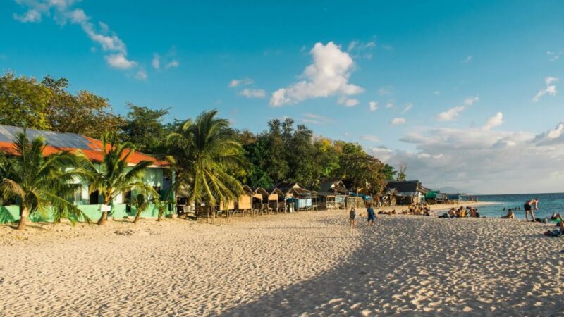 Cebu: Whale Shark, Monkey Sanctuary, & Moalboal Turtles Tour - FAQ