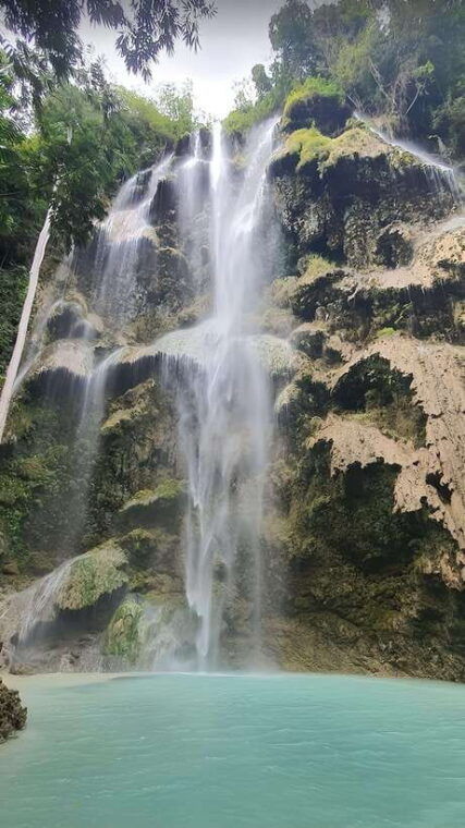 cebu-whale-shark-mysterious-waterfall-private-tour