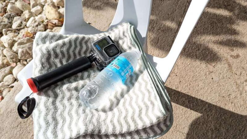 Cebu: Whale Shark Snorkeling & Kawasan Canyoning Tour - The Value Proposition