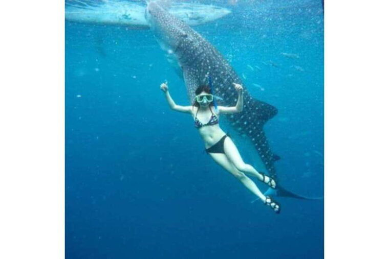 cebu-whale-shark-swim-and-kawasan-canyoneering-group-tour