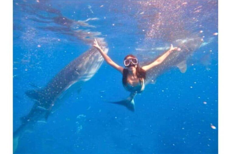cebu-whale-shark-swim-and-kawasan-canyoneering-group-tour