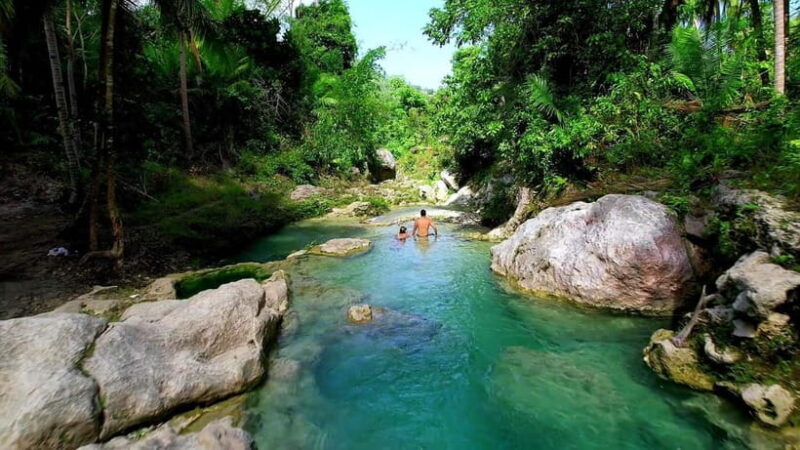 Cebu: Whale Shark Swimming & Inambakan Falls Adventure - FAQ