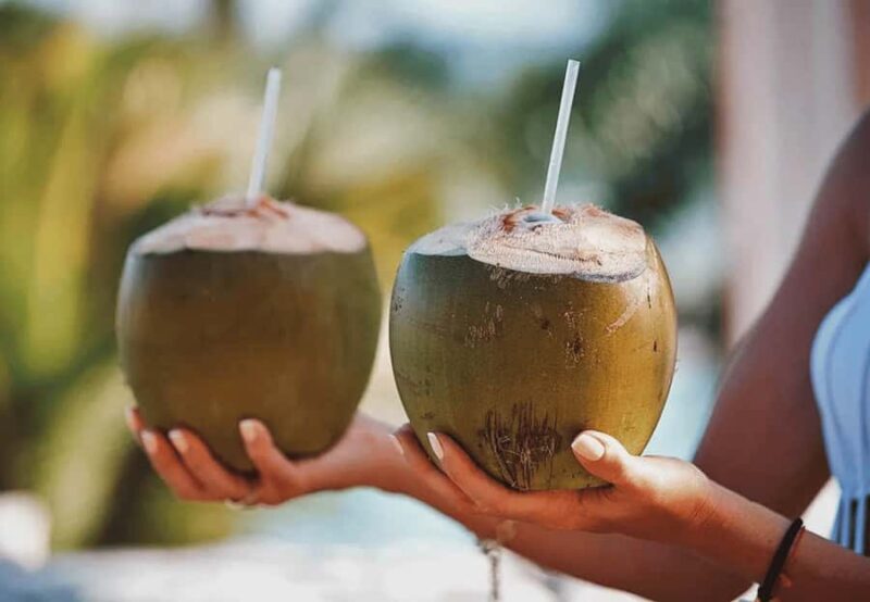 Cebu: Whale Shark, Tumalog Falls & Moalboal Turtles Tour - The Sum Up