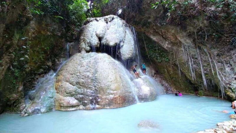 cebu-whale-shark-watching-aguinid-falls-tour-with-lunch