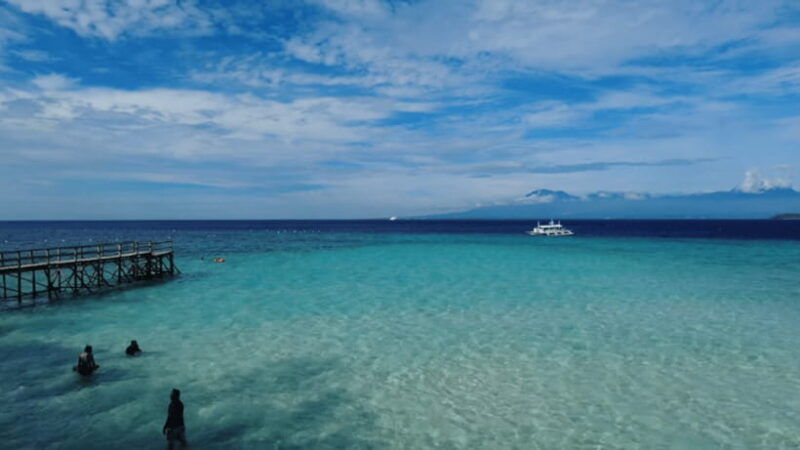 cebu-whale-shark-watching-tumalog-falls-sumilon-island