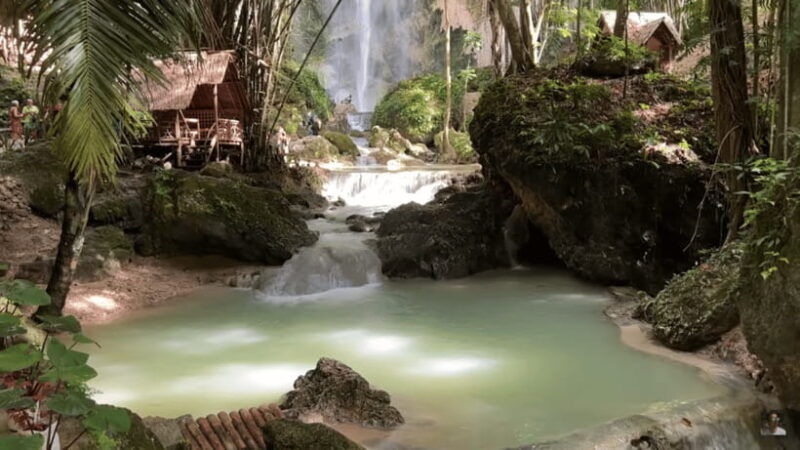 cebu-whale-shark-watching-tumalog-falls-sumilon-island