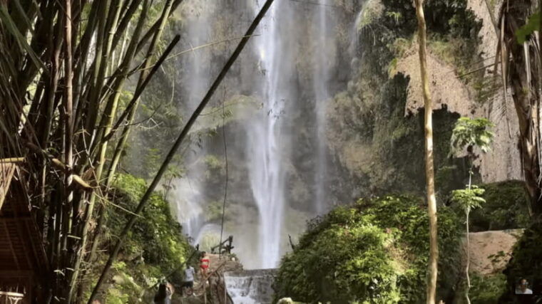 cebu-whale-shark-watching-tumalog-falls-sumilon-island