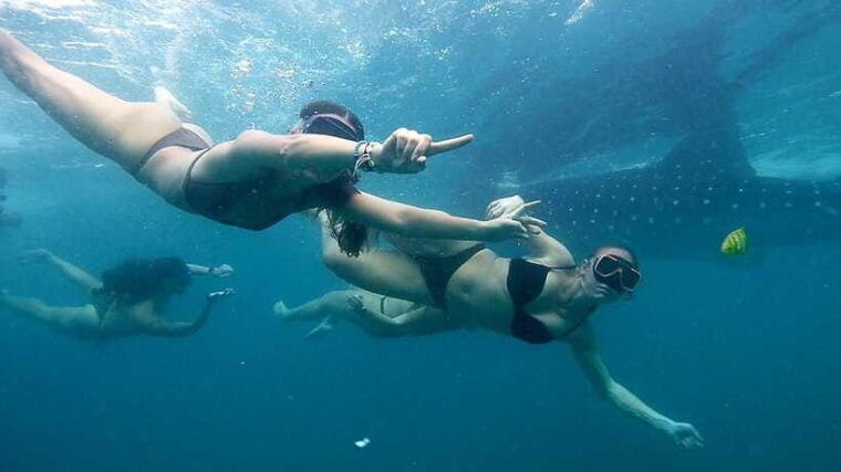 cebu-whale-sharks-ka-treasure-water-terraces-simala-tour