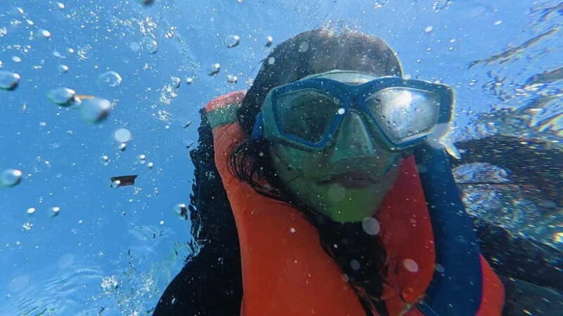 Cebu: Whale Sharks, Kawasan Falls, & Sardines Run Snorkeling - Key Points