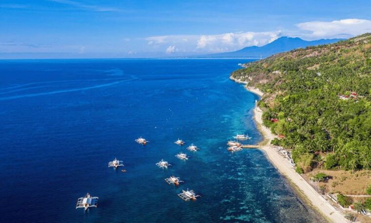 cebu-whale-sharks-tumalog-falls-and-monkey-sanctuary-tour