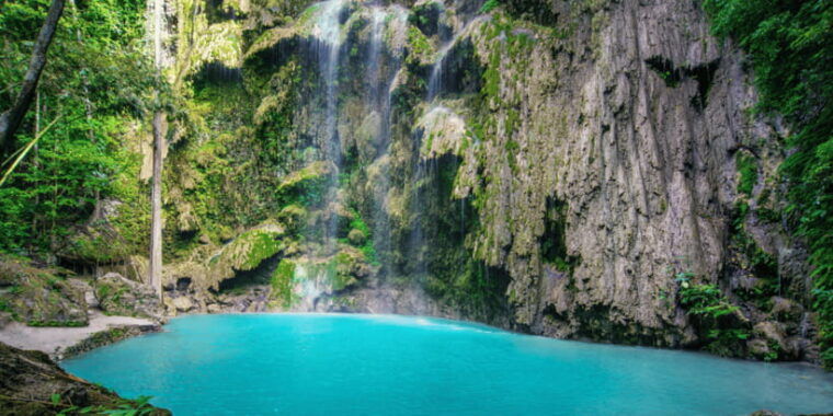 cebu-whale-sharks-tumalog-falls-and-monkey-sanctuary-tour