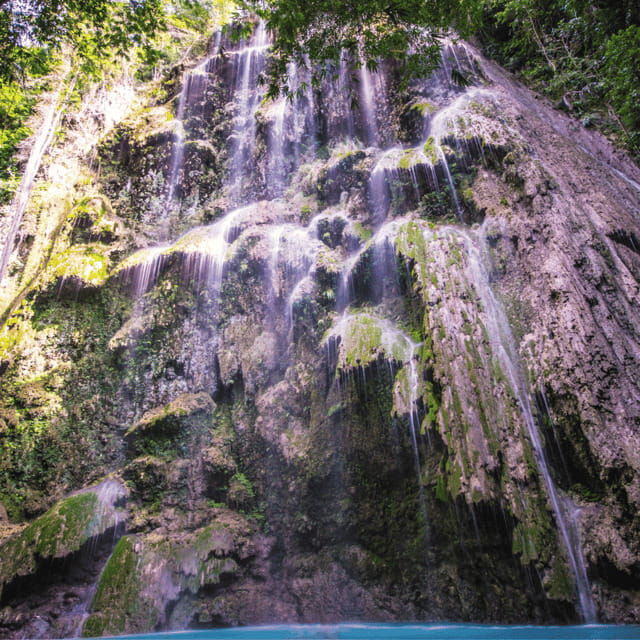 cebu-whale-sharks-tumalog-falls-sumilon