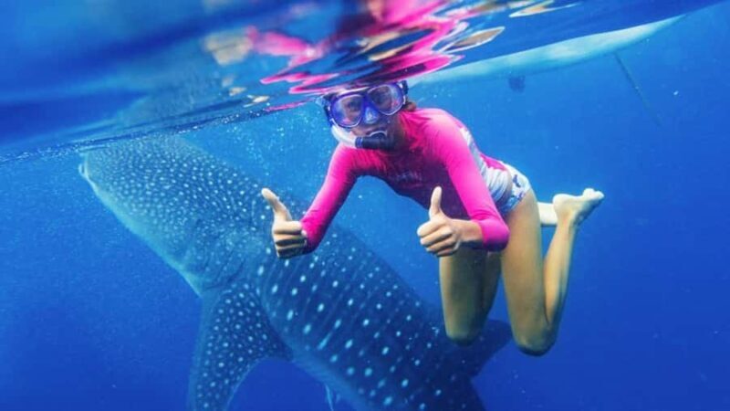 Cebu: Whaleshark Encounter, Sumilon Sandbar & Tumalog Tour - Key Points