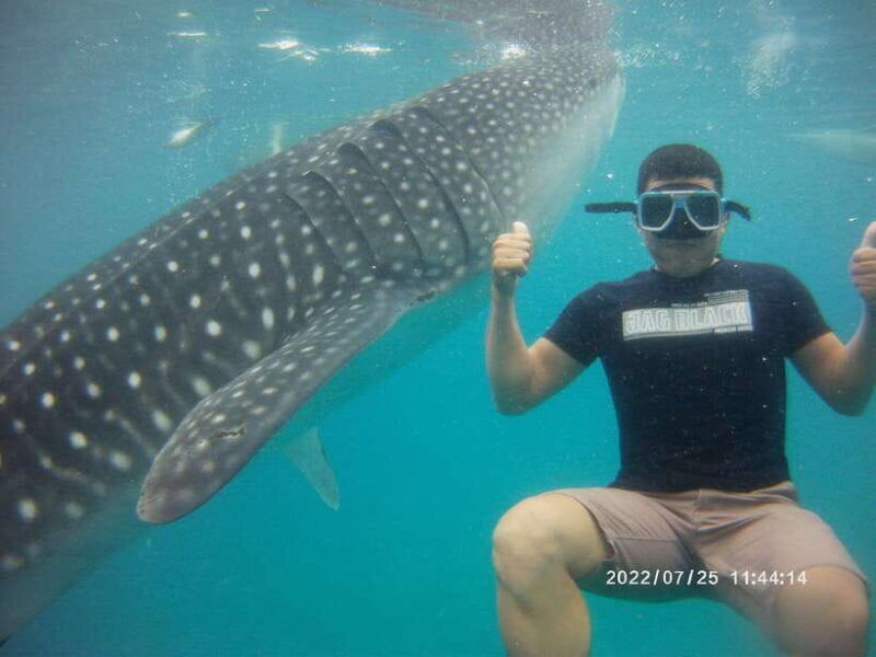 cebu-whaleshark-encounter-tumalog-falls-monkey-viewing
