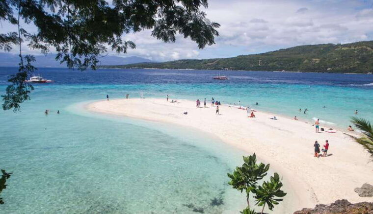 cebu-whaleshark-encounter-tumalog-falls-sumilon-sandbar