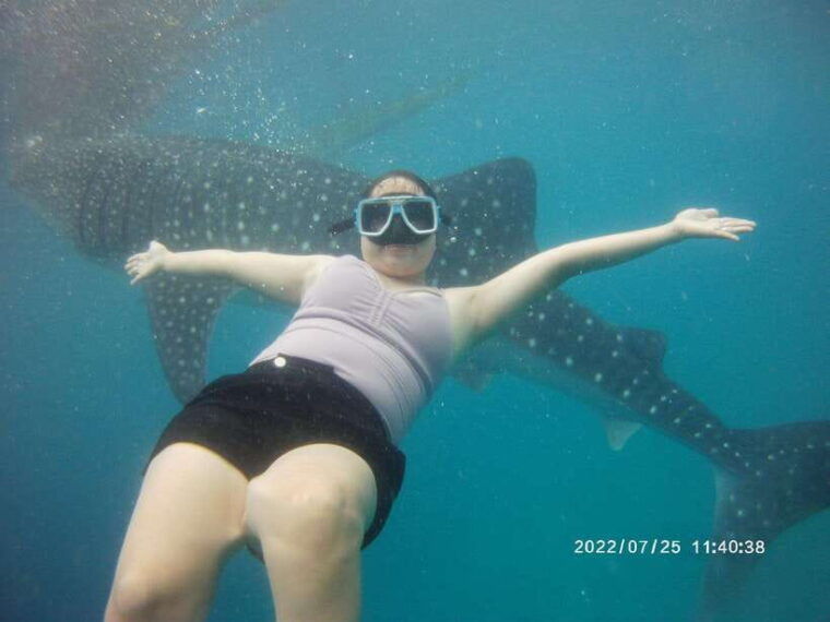 cebu-whaleshark-kawasan-falls-sardines-run-snorkeling