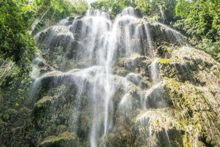 cebu-whaleshark-tumalog-falls-sardine-run-snorkeling