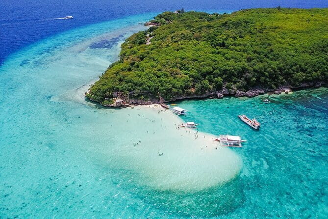 Cebu Whaleshark Watching w/ Sumilon Island Hopping - Who Should Consider This Tour?
