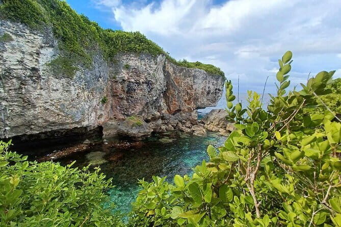 Cebu Whaleshark Watching w/ Sumilon Island Hopping - FAQ