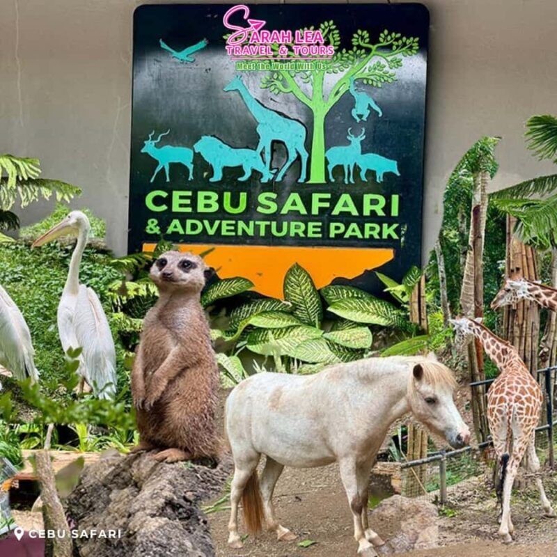 Cebu: Wildlife & Adventure Safari Experience - Key Points
