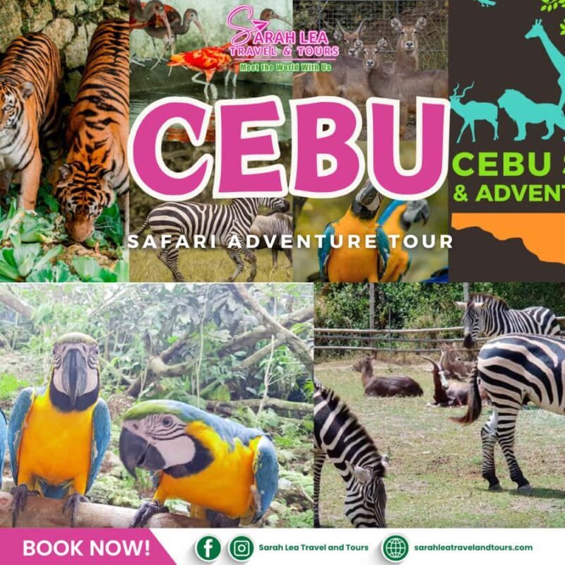 Cebu: Wildlife & Adventure Safari Experience - Who Would Love This Tour?