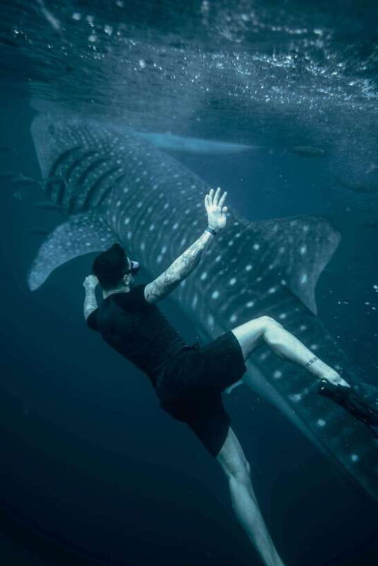 cebuoslob-whalesharkwatchingkawasan-canyoneering