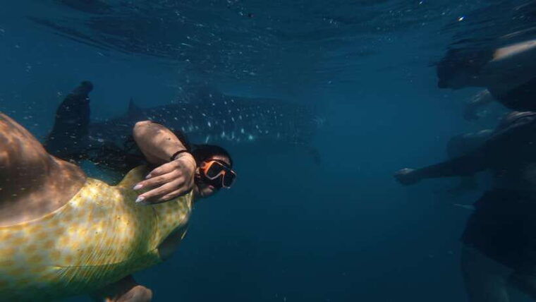 cebuoslob-whalesharkwatchingkawasan-canyoneering
