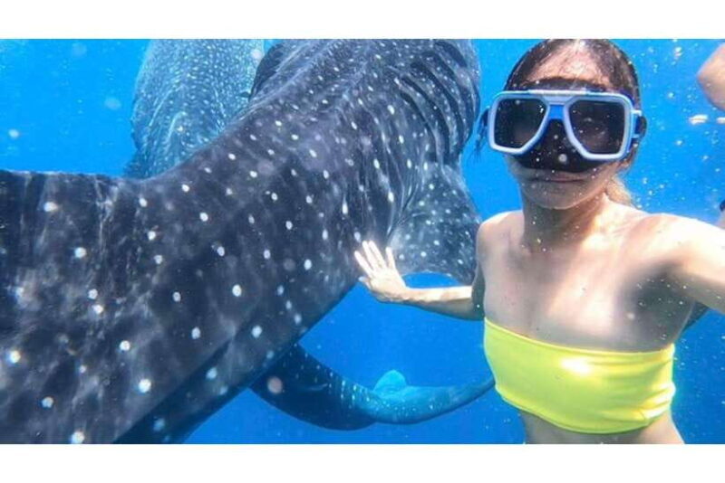 Cebu:Whale Shark, Waterfall, and Sardine Run Group Tour+Meal - Who is this tour perfect for?