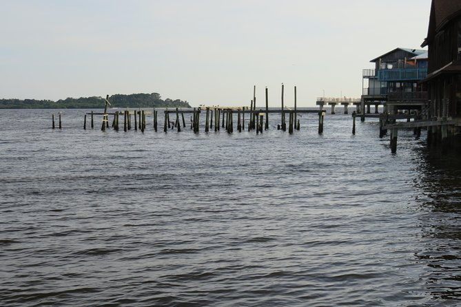 cedar-key-food-walks