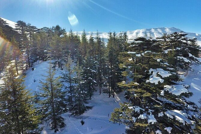 Cedars of Lebanon, Qozhaya, & Bcharre - With Lunch (4G on Board) - Who Should Consider This Tour?