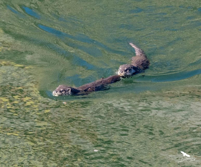 cedillo-boat-route-along-the-tagus-river