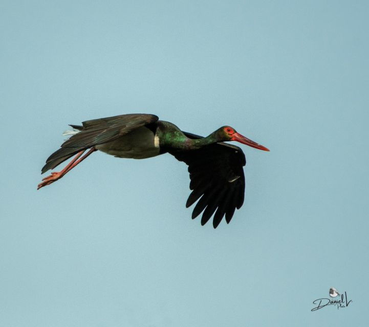 cedillo-boat-route-along-the-tagus-river