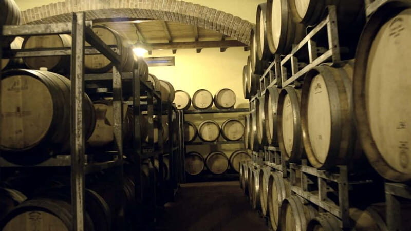 Cefalù: Half-Day Wine Tasting Tour in Castelbuono - What Makes This Tour Stand Out