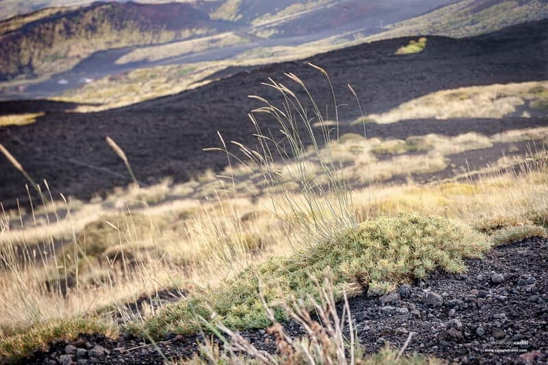 Cefalù: Mount Etna to 1900-Meters and Taormina Tour - Final Thoughts: Who is This Tour For?
