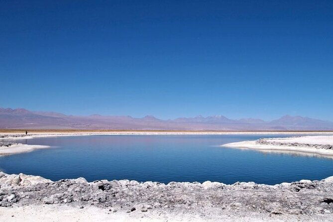 cejar-lagoon-and-ojos-del-salar-with-tebinquiche-tour