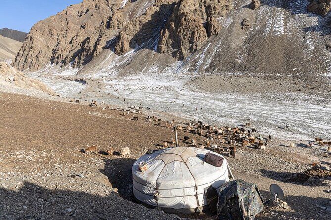 Celebrate Mongolias New Year the Nomadic Way - Authenticity and Cultural Significance