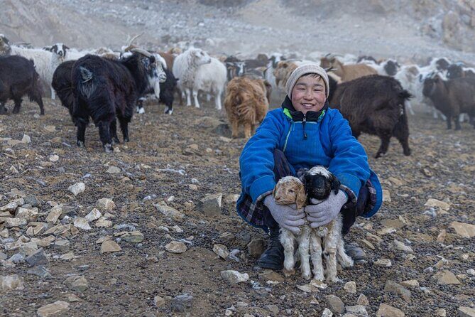Celebrate Mongolias New Year the Nomadic Way - The Sum Up
