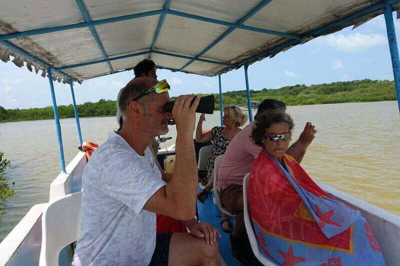 Celestun mangroves boat tour from Merida - The Sum Up