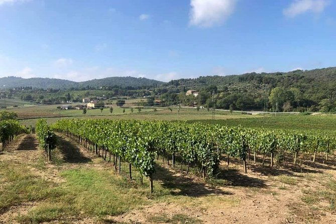 cellar-tour-wine-tasting