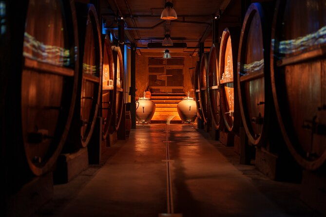 cellar-visit-and-wine-time-tea-time-around-wine