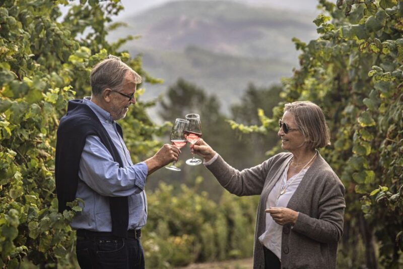 celorico-de-basto-quinta-de-santa-cristina-winery-tour