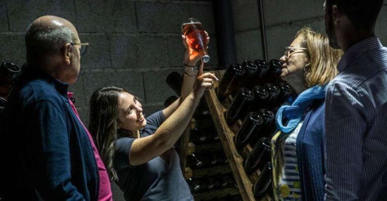 celorico-de-basto-quinta-de-santa-cristina-winery-tour