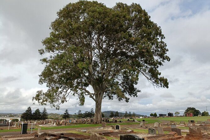 Cemetree Tour, Roots of Toowoomba's History from Harristown - Key Points